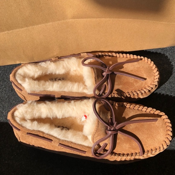 UGG Dakota slippers SZ 5 - Picture 1 of 3